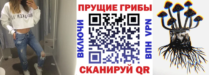 купить   Кимры  кракен вход  Галлюциногенные грибы прущие грибы 