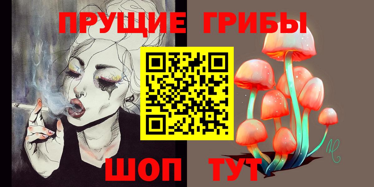 Псилоцибиновые грибы Psilocybe Кимры